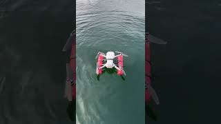 Dji mini 2 drone landing in water [upl. by Tolley]