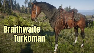 Getting the Braithwaite Turkoman  Short Version  Horse Flesh for Dinner  Red Dead Redemption 2 [upl. by Flemings977]