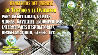 PREPARACIÓN DEL JARABE DE TOTUMO Y EL OVICALCIO PARA INFERTILIDAD QUISTES MIOMAS GASTRITIS ENDOM [upl. by Eiramit728]