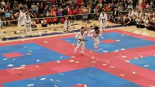 Kukkiwon Demo Team  Taekwondo Expo  Hoffman Estates 092019 part 4 [upl. by Nylatsyrk628]