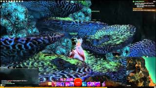 GW2 Buried Archives jumping puzzle guide Cursed Shores [upl. by Clayborn]