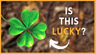 Why is the FourLeaf Clover Lucky  SymbolSage [upl. by Assenov]