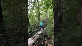 Lynches River County Park in SC bridge treetop treewalk roadtrip [upl. by Dyanne]