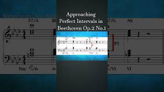 How Beethoven Used Voice Leading in Op2 No1  How Composers Use Series  The Soundtrack of History [upl. by Anneh664]