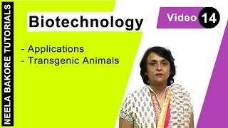 Biotechnology  NEET  Transgenic Animals  Neela Bakore Tutorials [upl. by Essilem]