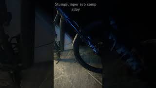 New stumpjumper evo comp alloy Specialized [upl. by Winograd927]