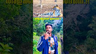 കടുവയുടെ പ്രായം അളക്കുന്നത് ഇങ്ങനെ  Periyar Tiger Reserve  shorts [upl. by Rachelle]