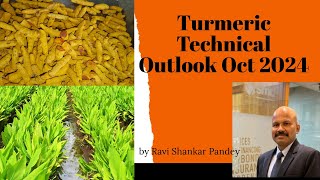 Turmeric Short Term Technical  Oct 2024 [upl. by Zandt]