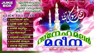 Snehamalar Madeena  സ്നേഹമലർ മദീന  Islamic Devotional Songs  Madh Songs Malayalam [upl. by Ahsiat]