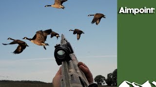 Massive Swedish Goose Hunt [upl. by Noirda]