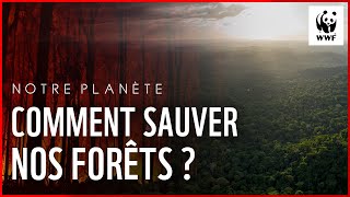 Notre Planète  comment sauver nos forêts [upl. by Marguerie]