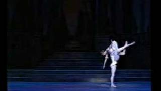 Alina Cojocaru amp Johan Kobborg Cinderella pdd 2 [upl. by Aeriell]