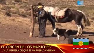 El origen del los Mapuches y la mentira de que es un pueblo chileno [upl. by Baggs]