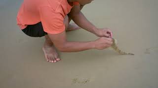 Junreil Discovers Fishing At Ettalong Beach [upl. by Odnumde237]