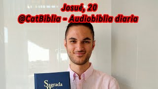 Libro de Josué 20 Complemento del reparto Ciudades de asilo Lectura diaria de la Sagrada Biblia [upl. by Taber]