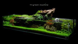 Aquascape Tutorial Simplicity by James Findley  how to create a planted tank [upl. by Namsaj]