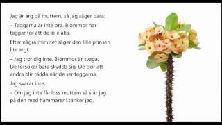 Ljudbok Den lille prinsen kapitel 7 Prinsens blomma [upl. by Aicemaj]