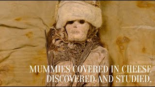 Mummies covered in cheese discovered and studied [upl. by Hacceber]