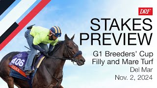 Grade 1 Breeders Cup Filly and Mare Turf Preview  November 2 2024 [upl. by Iruahs]