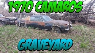 1970s Camaro Grave Yard 30 Camaros Firebirds Trans Ams Etc [upl. by Gertrudis]