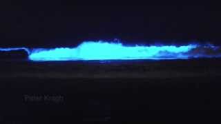 Bioluminescent waves in San Diego Red Tide amp Blue Waves [upl. by Idieh]