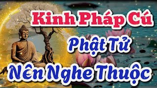 Kinh Pháp Cú  Phật Tử Nên Nghe  Công Đức Vô Lượng Phật Pháp Nhiệm Màu [upl. by Bartlet]