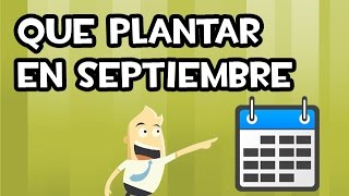 Que SEMBRAR o PLANTAR en SEPTIEMBRE  Calendario de Siembra [upl. by Elleiad457]