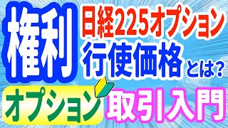 日経225オプションの権利行使価格とは [upl. by Aennaej]