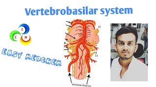 VERTEBROBASILAR SYSTEM [upl. by Akcinahs]