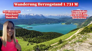 Herzogstand Wanderung  Ausblick Walchensee  Einer der schönsten Bergtouren in d Bayerischen Alpen [upl. by Ydualc]