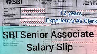 SBI Bank Senior Associate Salary Slip  SBI Bank Clerk Salary  SBI Bank Branch Manager Salary [upl. by Elleinnod436]