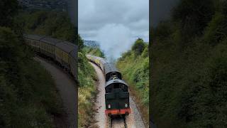 Steam locomotive hard at work [upl. by Bordiuk]