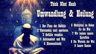 Umwandlung und Heilung  Über Angst Wut und Achtsamkeit  Thich Nhat Hanh [upl. by Lecrad]