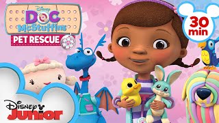 Pet Rescue  30 Minute Compilation  Doc McStuffins  disneyjr [upl. by Stolzer]