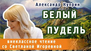 Белый пудель рассказ Александра Куприна PRO сказки [upl. by Naahsar769]