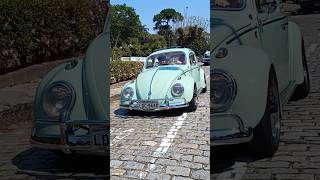 FUSCA REBAIXADO MUITO LINDO [upl. by Obel]