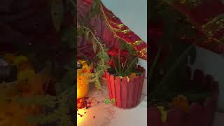 shortvideo devudni ekdhshi tulsi vivah 🌿🌿🌿🌿🌿radheradhe [upl. by Hess508]