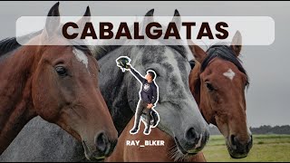 Elegancia y Tradición Desfile de Caballos CABALGATA [upl. by Ojahtnamas]