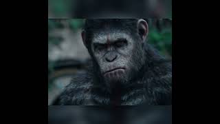 Planet of the Apes Trilogy 🔥 fyp foryou viral funny marvel youtube shorts video movies [upl. by Leorsiy]