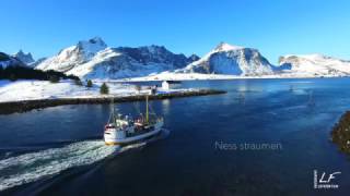 Winter time in Lofoten Islands 2017 [upl. by Milks853]