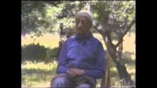 J Krishnamurti  Ojai 1980  Public Talk 5  Psychologically we are one unitary movement [upl. by Khorma344]