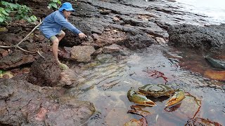 Giant King Crab Catch and Cook At the Beach  Giant Sea Crab Cooking with Big Wave  Wilderness Food [upl. by Kehoe49]