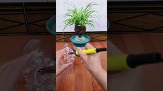 Flower garden planting flower in pot plastic amazing so beautiful garden flower diy gardenplants [upl. by Scharff]