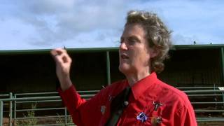 Animal Behavior with Temple Grandin  Part 3 [upl. by Ilamad]