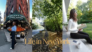 NYC Vlog  New York Escape to Fall Foliage in Suburbs 🍂  Cozy Weekend Vlog [upl. by Enrica]