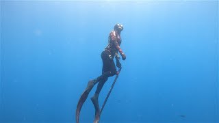 Wettie TV  SPEARFISHING with SHARKS  New Zealand [upl. by Asyen]