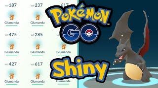 100er amp ShinyGlumanda fast entwickelt  Pokémon GO Deutsch 623 [upl. by Katz836]