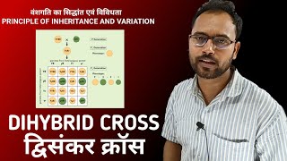 DIHYBRID CROSS  PRINCIPLE OF INHERITANCE AND VARIATION  द्विसंकर क्रॉस  BIOLOGY CLASS 12 [upl. by Acirre]