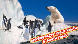 The Bizarre History of the North amp South Poles factsworld1985 [upl. by Aridatha]