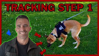 The First Step to Teach Your Dog Competitive Tracking [upl. by Eirolav]